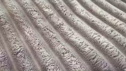 Snapshot of eliterd chatting on November 2025 07:39:02 PM eliterd online show from November 2025 07:39:02 PM