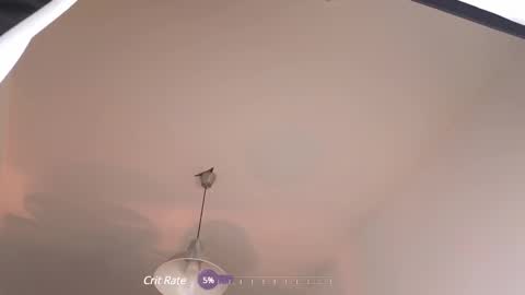 Snapshot of elliefrost chatting on February 2025 12:37:02 AM elliefrost online show from February 2025 12:37:02 AM