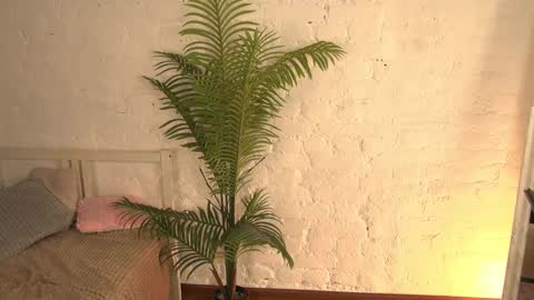 Snapshot of elliefrost chatting on March 2025 03:26:02 AM elliefrost online show from March 2025 03:26:02 AM