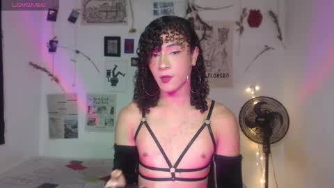  . online show from December 2025 03:07:01 PM