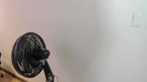 Ellye online show from July 2026 11:25:01 AM