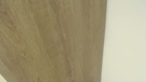 elmono33 online show from January 2025 05:13:01 AM