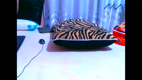 elodielynn online show from May 2026 04:41:01 AM