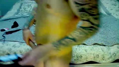 Elpouro online show from March 2026 05:11:01 AM