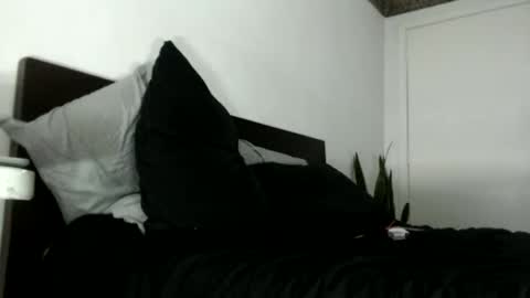 elputoquetegusta online show from December 2025 10:08:02 PM