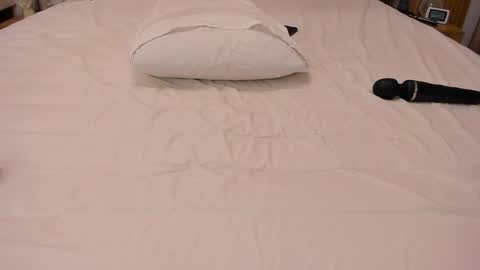 Ely online show from January 2026 07:17:02 PM