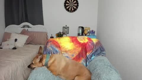 Snapshot of emberpheonixxx chatting on January 2025 03:12:02 AM Ember Pheonixxx online show from January 2025 03:12:02 AM