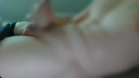 Snapshot of emil2211 chatting on October 2025 02:42:02 PM emil2211 online show from October 2025 02:42:02 PM