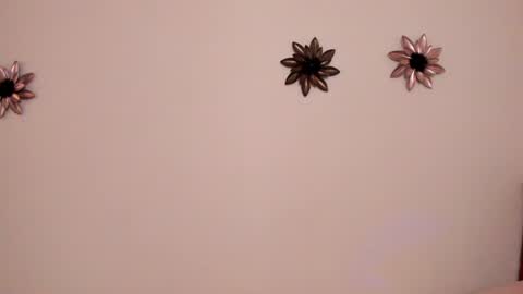 .  . online show from February 2025 06:33:01 PM