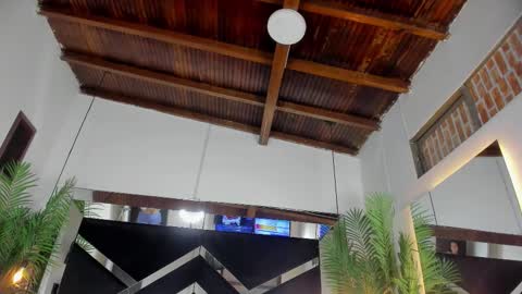 Emily  online show from November 2025 10:50:02 AM