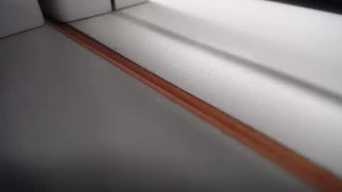 Snapshot of emily_hott1 chatting on February 2025 10:37:02 AM emily hoot1 online show from February 2025 10:37:02 AM