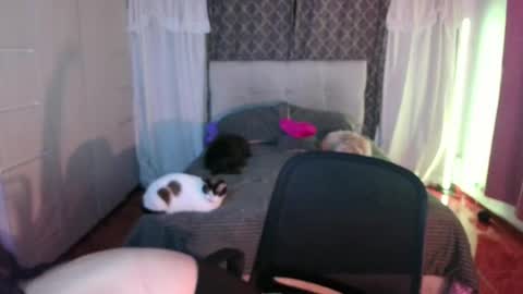 Emily  Swan online show from April 2026 01:47:01 AM