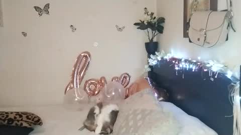 Snapshot of emilywhitee_ chatting on November 2025 02:33:02 AM Valentina independent model online show from November 2025 02:33:02 AM