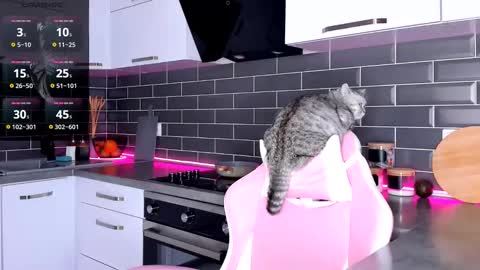 Shaiya online show from February 2025 12:10:01 AM