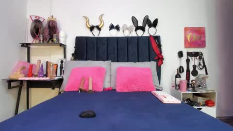          online show from November 2025 01:11:01 PM