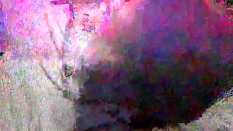 Snapshot of enjooythenut chatting on January 2025 02:33:02 PM Batman online show from January 2025 02:33:02 PM