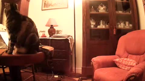 Steph et Eric online show from November 2025 10:05:01 AM