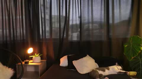 Snapshot of eroswild_ chatting on December 2025 09:53:02 PM Eros Wild online show from December 2025 09:53:02 PM