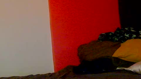 Snapshot of erotica_angel chatting on February 2026 10:16:02 AM Nikki Erotica online show from February 2026 10:16:02 AM