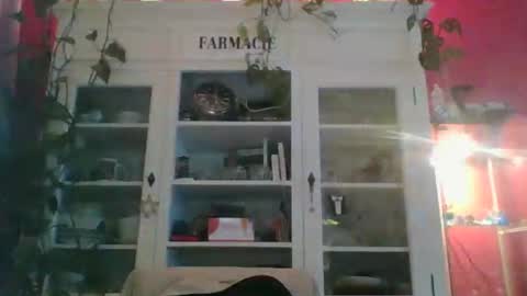 Snapshot of erwin1966 chatting on January 2025 12:45:01 AM Erwins room welcome sound on online show from January 2025 12:45:01 AM