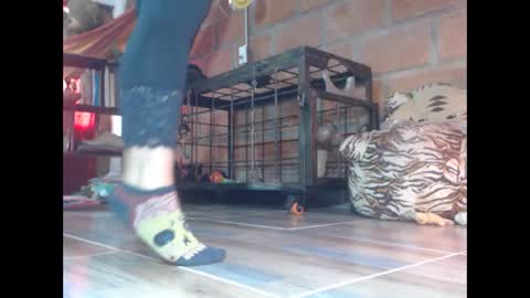 Eskela911 online show from March 2026 03:17:01 PM