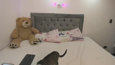estehefany_gil online show from January 2026 01:08:02 AM
