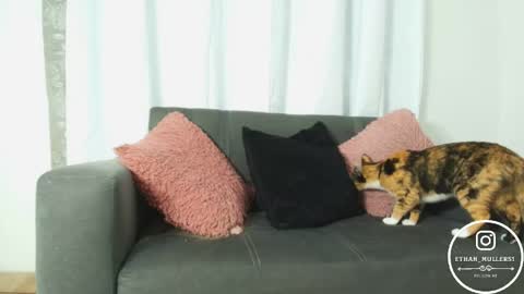 Ethan Muller online show from April 2026 10:55:01 AM