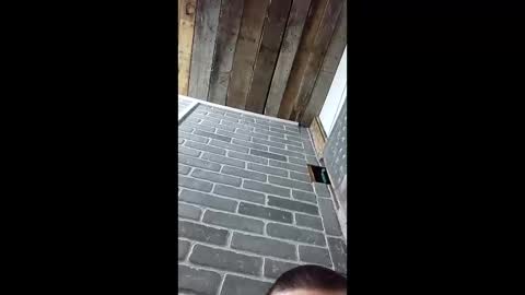 ethanfish600 online show from March 2026 07:25:02 AM