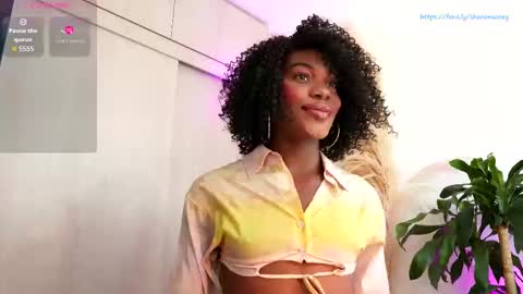 euphoricbunny online show from September 2025 09:37:01 PM