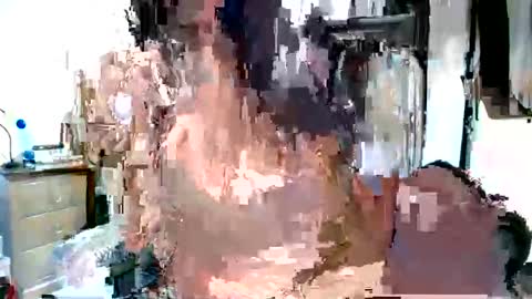 EVA65 online show from September 2025 09:56:01 AM