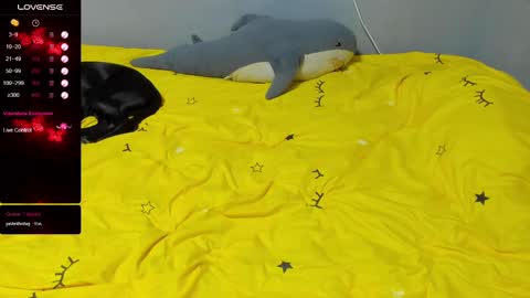 Eva online show from February 2025 04:31:01 PM