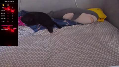 Eva online show from February 2025 12:57:02 PM