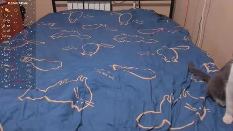 Snapshot of eva_zero chatting on January 2026 03:06:02 PM Eva online show from January 2026 03:06:02 PM