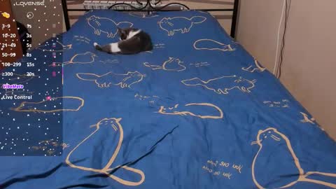 Snapshot of eva_zero chatting on February 2026 02:09:02 PM Eva online show from February 2026 02:09:02 PM