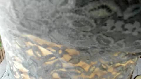 Eva online show from April 2026 02:24:01 PM