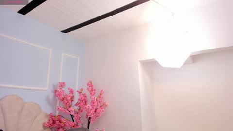 Snapshot of evahalston chatting on January 2025 07:37:01 PM evahalston online show from January 2025 07:37:01 PM