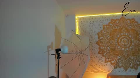 Snapshot of evarmirezz chatting on December 2024 01:47:01 AM Eva Rmirezz online show from December 2024 01:47:01 AM