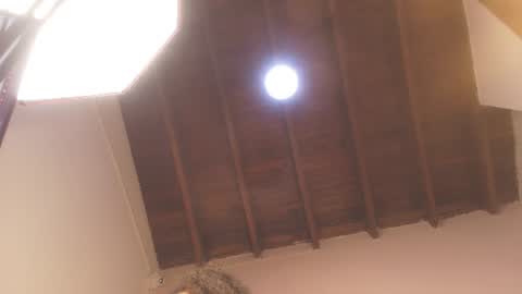 Snapshot of evelonga_707 chatting on June 2026 07:02:02 PM DAYANITA online show from June 2026 07:02:02 PM