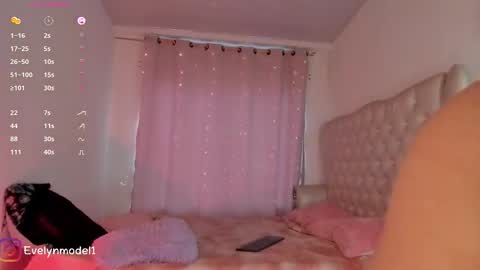 Snapshot of evelyn_evelyn chatting on October 2025 04:06:02 PM evelyn evelyn online show from October 2025 04:06:02 PM