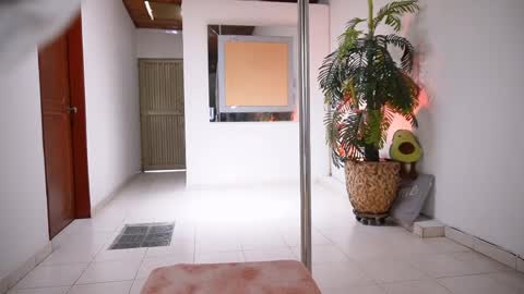 evelyn evelyn online show from April 2026 07:01:02 PM