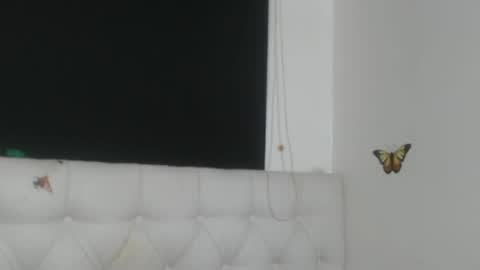 Evelyne online show from April 2026 04:46:01 AM