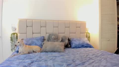 Snapshot of even_scoty chatting on October 2025 12:23:02 PM even_scoty online show from October 2025 12:23:02 PM