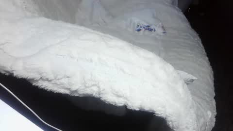 everlasthu online show from February 2025 01:44:01 AM