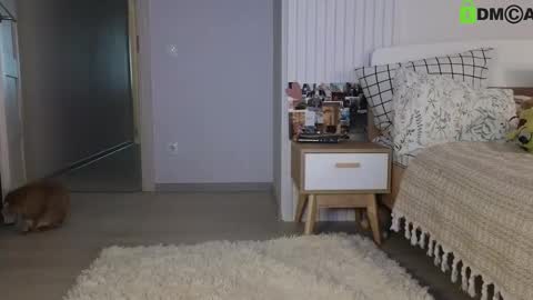 evi_woow online show from February 2025 05:13:02 PM