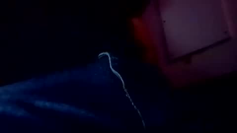 Evocation online show from February 2025 04:57:01 AM