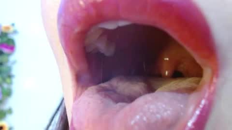 Evoleth online show from December 2024 09:03:01 AM