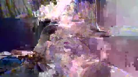 Naaktloper online show from February 2026 04:22:02 PM