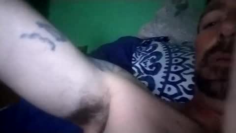 experttreecompany online show from February 2026 07:51:01 AM