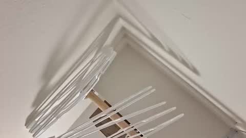 eyyoboobo0 online show from April 2026 11:08:02 PM