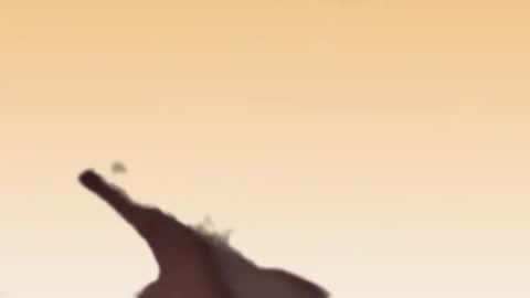 Snapshot of fabinou32 chatting on November 2025 02:49:01 PM fabinou32 online show from November 2025 02:49:01 PM